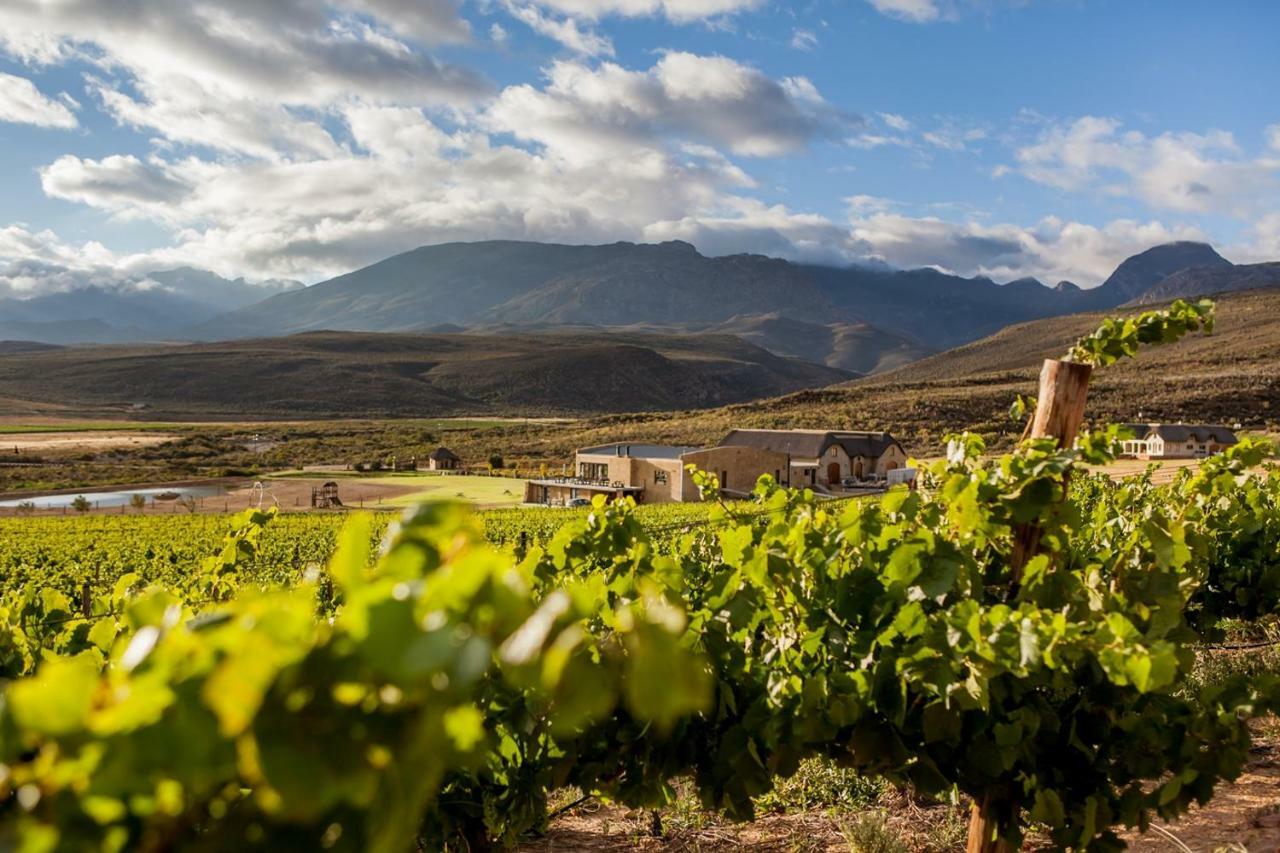 Lord'S Wine Farm Apartment McGregor Exterior photo